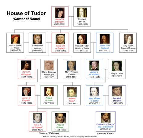 casato dei tudor|house of tudor family tree.